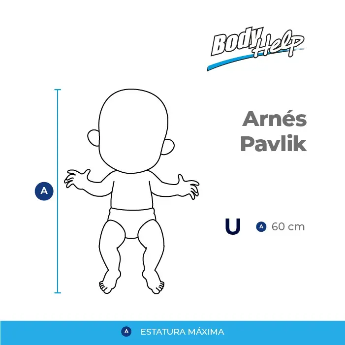 Arnes-Pavlik-1